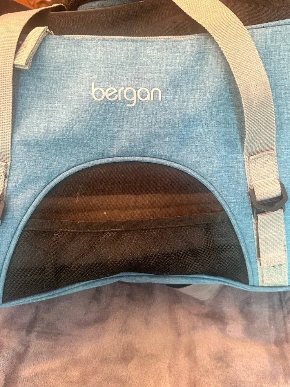 Blue Soft-Sided Pet Carrier with Gray Straps